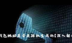 区块链钱包地址是否是随机生成的?深入解析与