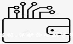 数字货币钱包私钥解析:保护你的数字资产安全
