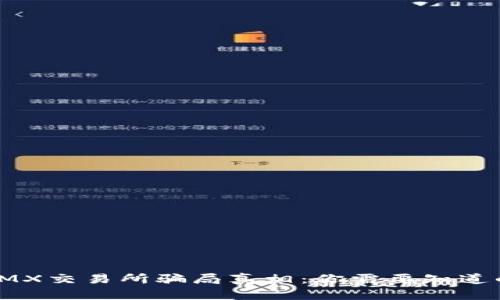 揭开IMX交易所骗局真相:你需要知道的一切