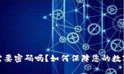 数字钱包需要密码吗？如何保障您的数字资产安全
