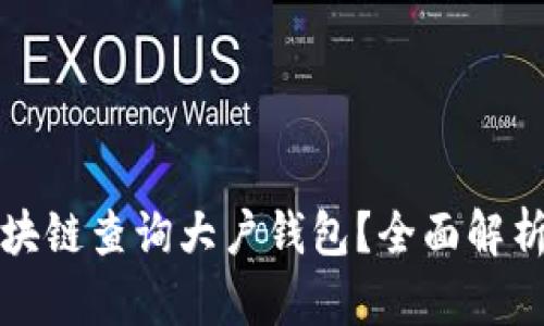 如何通过区块链查询大户钱包?全面解析与实用技巧