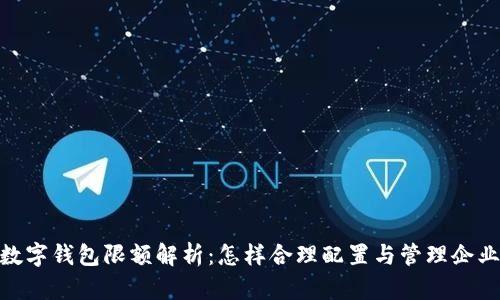 企业数字钱包限额解析：怎样合理配置与管理企业资金