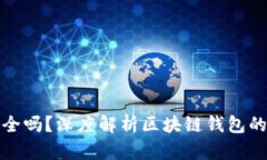 区块链钱包真的安全吗？深度解析区块链钱包的