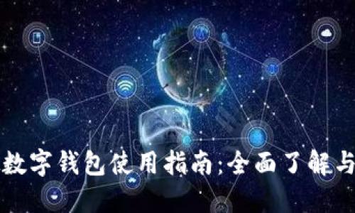 国内虚拟数字钱包使用指南:全面了解与实操技巧