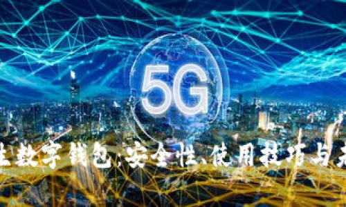 全面解析民生数字钱包:安全性、使用技巧与未来发展趋势