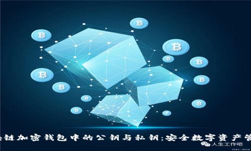 理解区块链加密钱包中的公钥与私钥:安全数字资产管理的核心