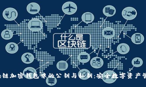 理解区块链加密钱包中的公钥与私钥:安全数字资产管理的核心