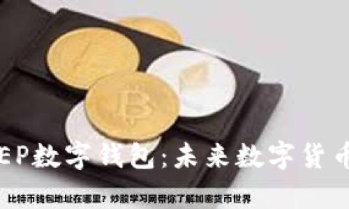 : 详解中国DCEP数字钱包:未来数字货币的前景与挑战
