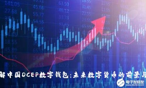 : 详解中国DCEP数字钱包:未来数字货币的前景与挑战