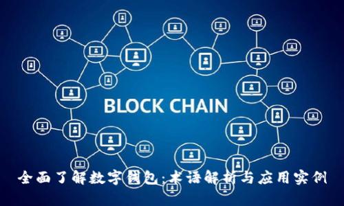 全面了解数字钱包:术语解析与应用实例