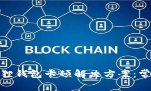 : 区块链小狐狸钱包卡顿解决方案:常见问题与技巧
