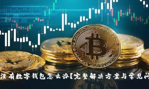 支付宝没有数字钱包怎么办？完整解决方案与常见问题解析