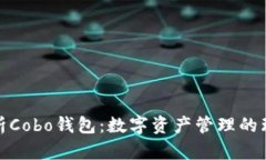 全面解析Cobo钱包:数字资产管理的理想选择