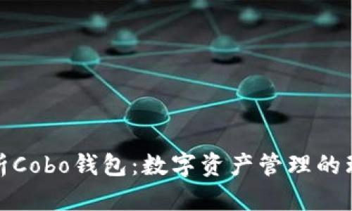 全面解析Cobo钱包：数字资产管理的理想选择