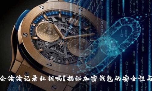 加密钱包会偷偷记录私钥吗?揭秘加密钱包的安全性与隐私保护