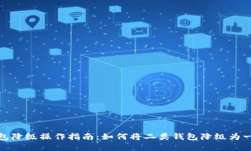 数字钱包降级操作指南:如何将二类钱包降级为一类钱包