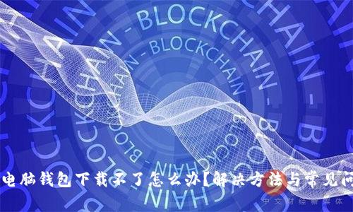 区块链电脑钱包下载不了怎么办?解决方法与常见问题解析