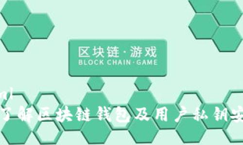 ```xml
深入了解区块链钱包及用户私钥安全性