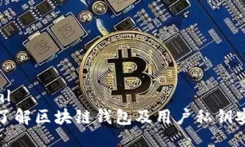 ```xml
深入了解区块链钱包及用户私钥安全性
