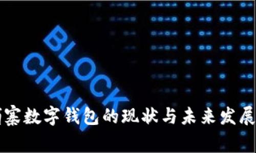 柬埔寨数字钱包的现状与未来发展分析