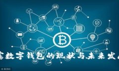 柬埔寨数字钱包的现状与未来发展分析