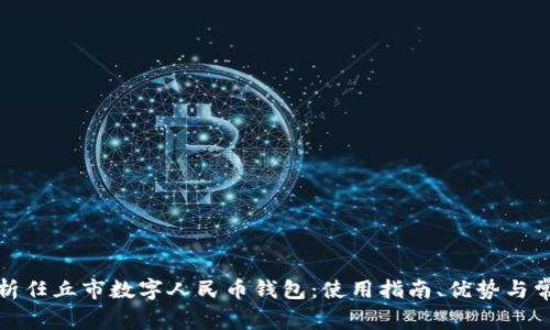 全面解析任丘市数字人民币钱包:使用指南、优势与常见问题