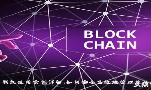 数字钱包使用实例详解:如何安全高效地管理您的财务