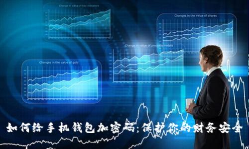 如何给手机钱包加密码:保护你的财务安全