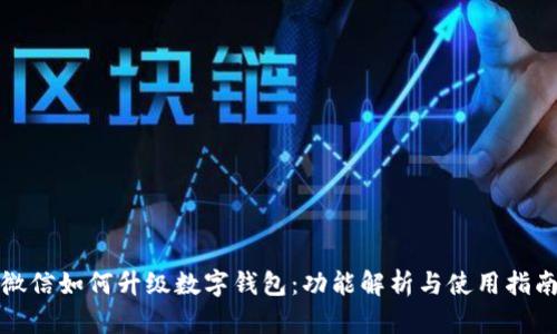 微信如何升级数字钱包:功能解析与使用指南