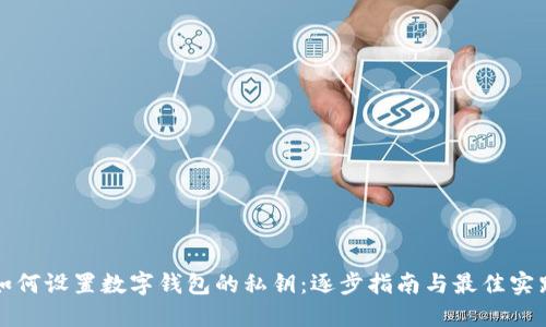 如何设置数字钱包的私钥:逐步指南与最佳实践