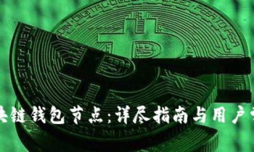 如何设置区块链钱包节点：详尽指南与用户常见问题解答