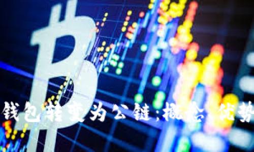 如何将数字钱包转变为公链:概念、优势及应用全解