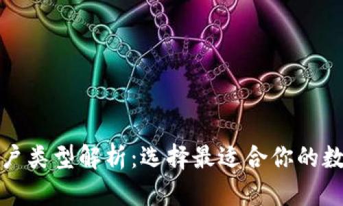 数字钱包账户类型解析:选择最适合你的数字支付方式