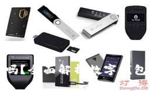 数字钱包好用吗？全面解析数字钱包的优势与劣势