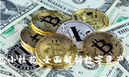 币壳数字钱包小桂花:全面解析数字资产管理的新选择