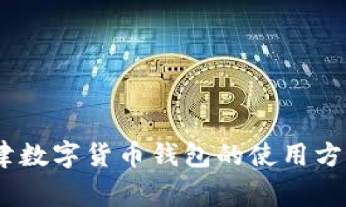 全面解析:天津数字货币钱包的使用方法及注意事项