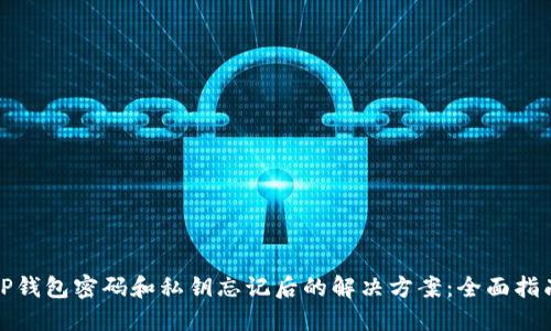 TP钱包密码和私钥忘记后的解决方案：全面指南