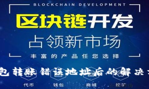 图文指南：TP钱包转账错误地址后的解决方案与预防措施