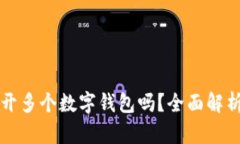 一个人可以开多个数字钱包吗？全面解析与安全