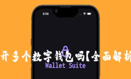 一个人可以开多个数字钱包吗？全面解析与安全提示