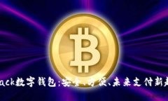 Sblack数字钱包：安全、方便、未来支付新趋势