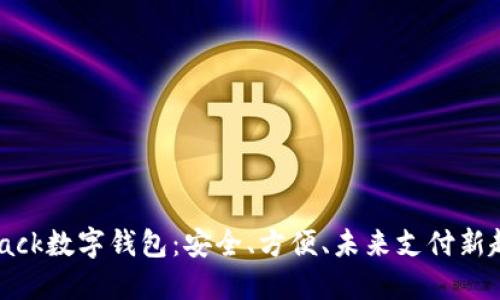 Sblack数字钱包：安全、方便、未来支付新趋势