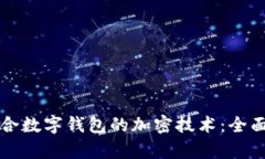 如何选择适合数字钱包的加密技术：全面解析与
