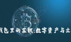 探寻t p钱包里的苏轼：数字资产与文化的结合