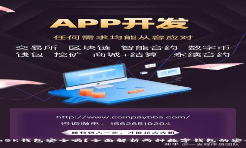 TP和BK钱包安全吗？全面解析两种数字钱包的安全性