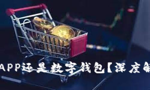 下载数字货币APP还是数字钱包？深度解析与选择指南