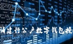 如何有效申请建行公户数字钱包授权：全面指南