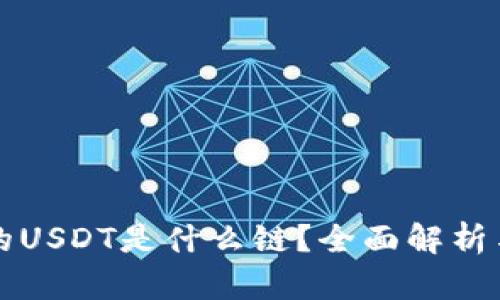 tP钱包中的USDT是什么链？全面解析与使用指南