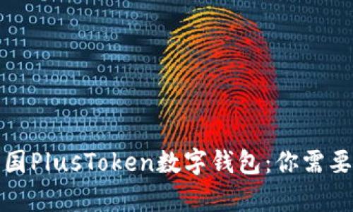 全面剖析韩国PlusToken数字钱包：你需要了解的一切