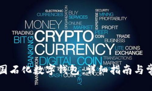 如何下载中国石化数字钱包：详细指南与常见问题解析